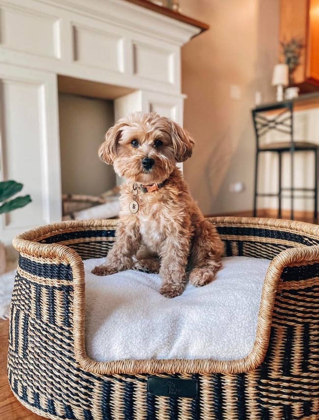 a small dog sits atop a fluffy cushion inside of a handmade basket bed