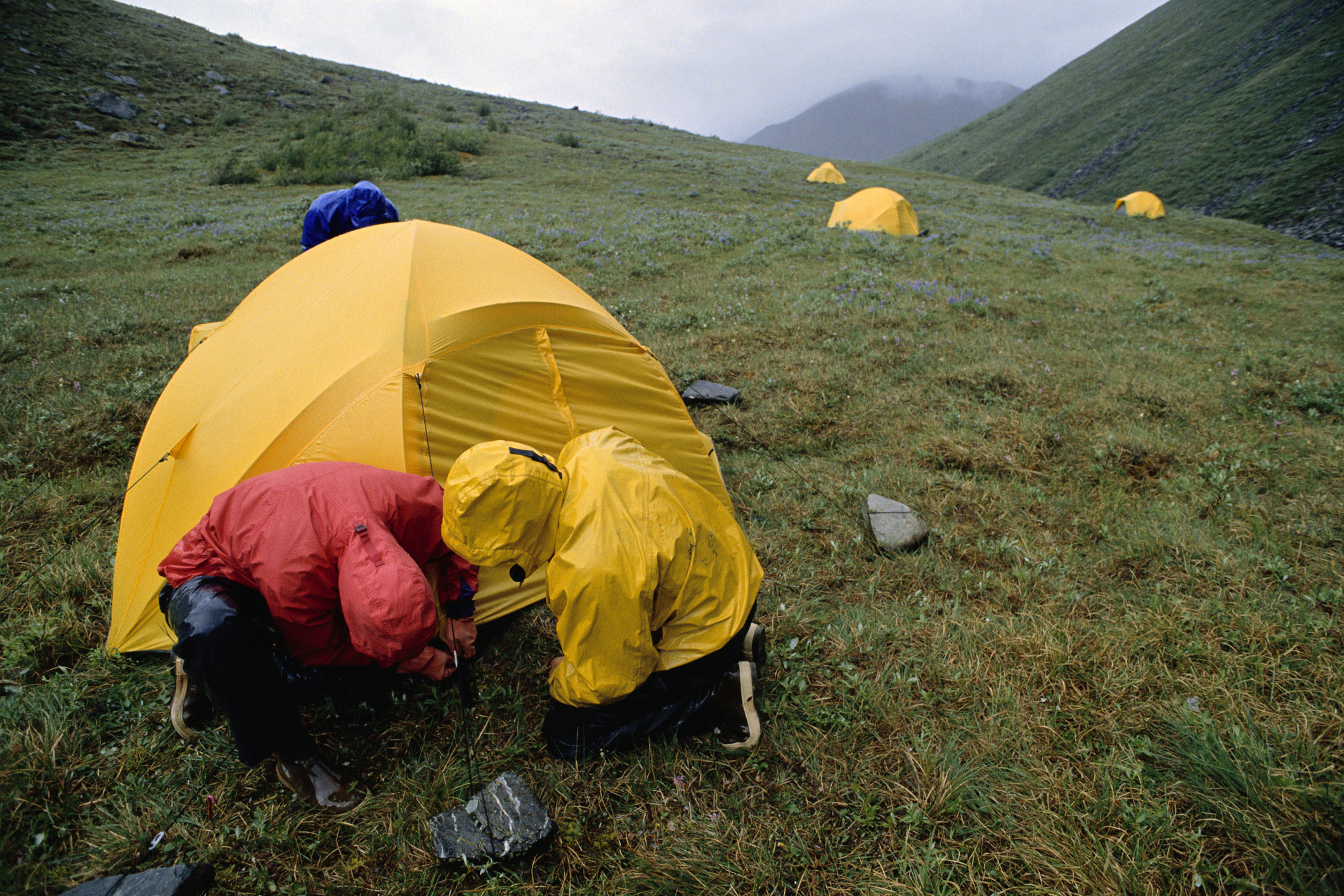 Two people pitching a tent in the rain.