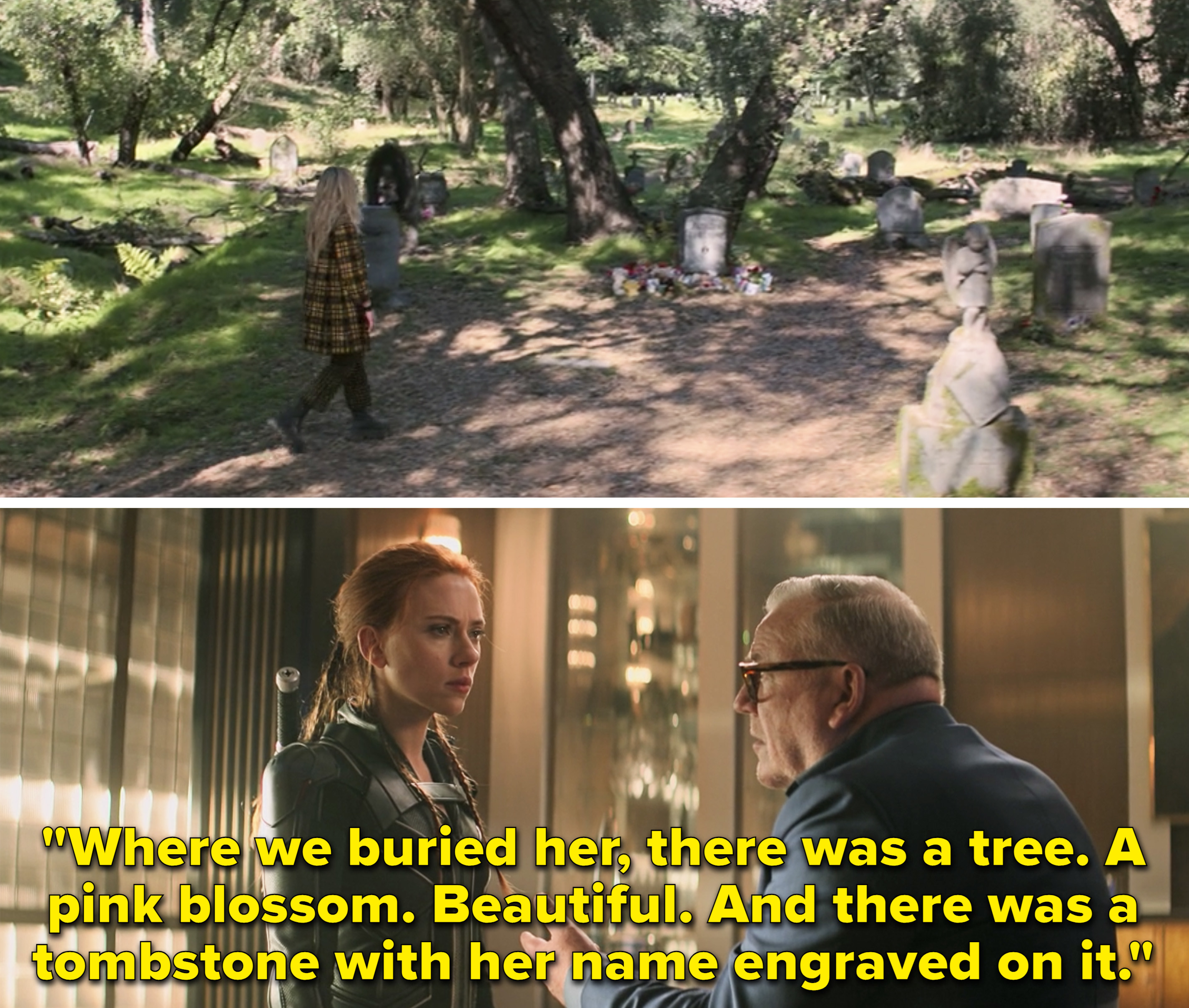 Natasha&#x27;s grave vs. Dreykov saying, &quot;Where we buried her, there was a tree. A pink blossom. Beautiful. And there was a tombstone with her name engraved on it&quot;