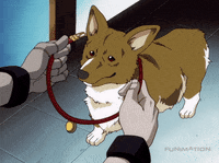 GIF of Data Dog from Cowboy Bebop getting collar put on