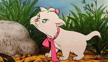 gif of wet cat sticking its tongue out. from the aristocats.