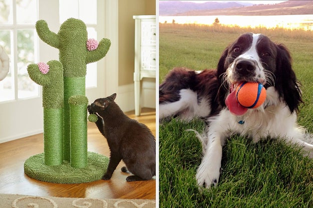 36 Pet Products Our Readers Are Loving In 2021 - Vimarsana News