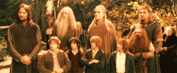 The fellowship of the rings standing together. 