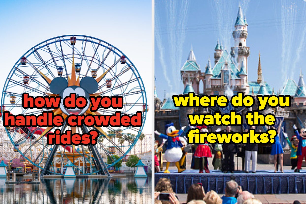 how do you handle crowded rides and where do you watch the fireworks