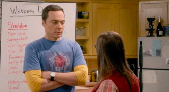 Sheldon and Amy