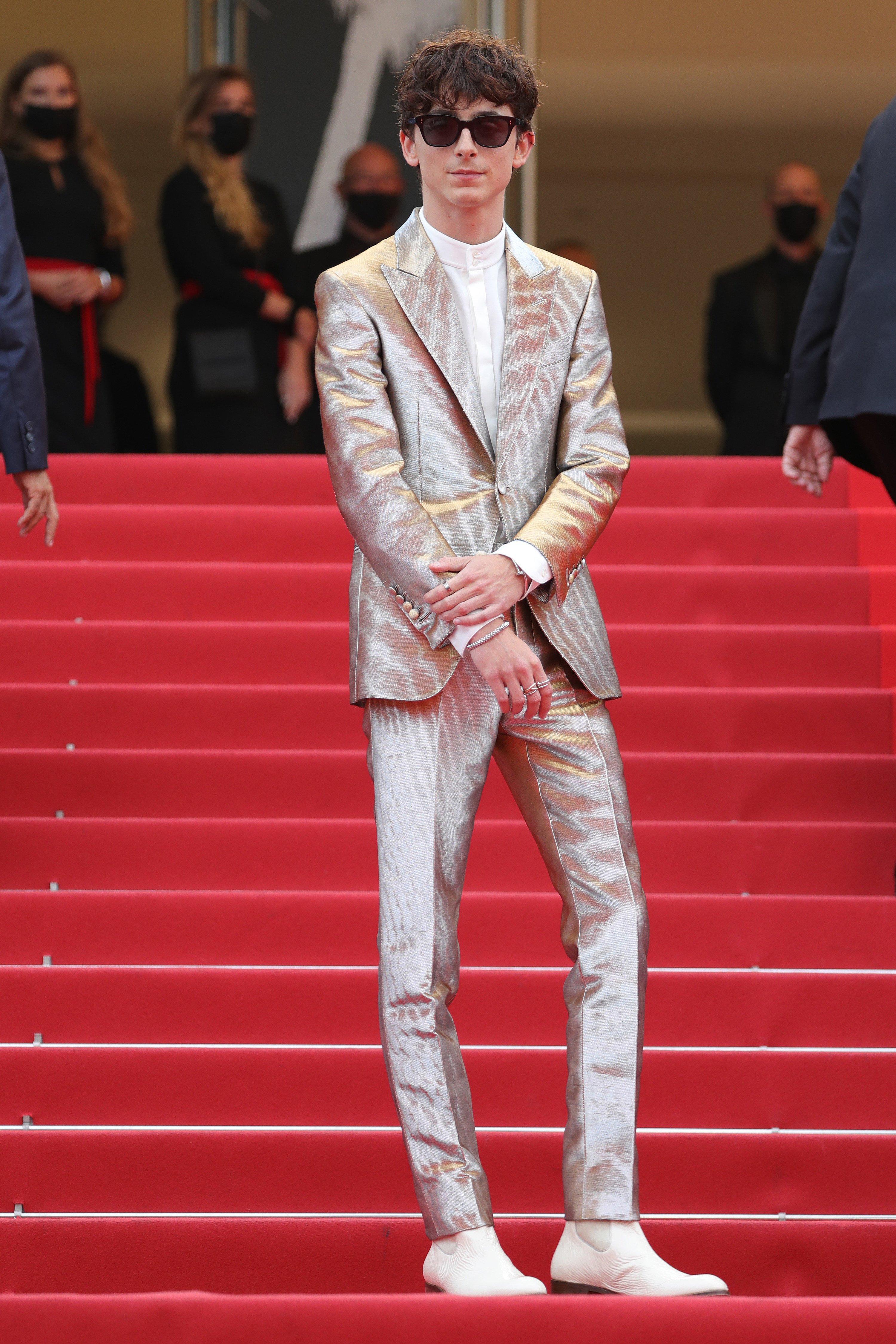 Timothee Chalamet's Best Red Carpet Fashion: Pics