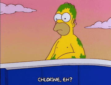Homer Simpson with gunk all over his body saying, &quot;Chlorine, eh&quot;