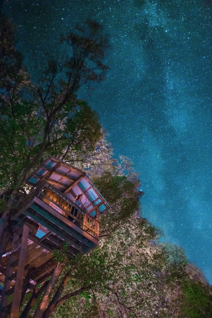 A treehouse under a starry sky