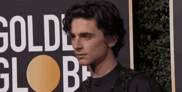 Timothée poses on a red carpet in a black shirt