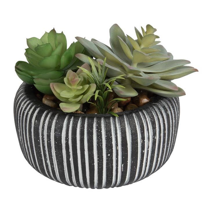 The planter is has black and white stripes and four green plants