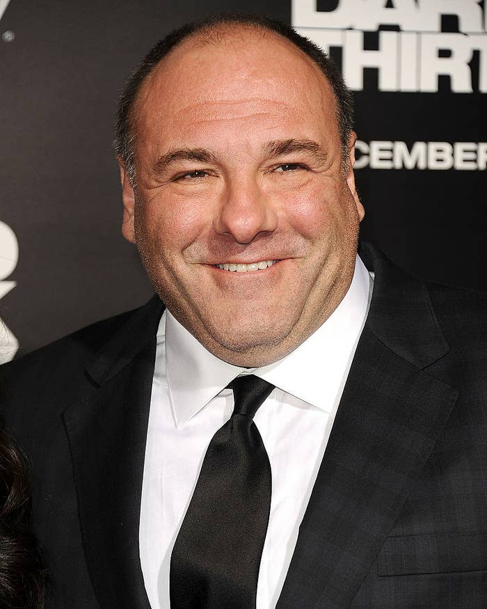 James Gandolfini at the premiere of &quot;Zero Dark Thirty&quot;