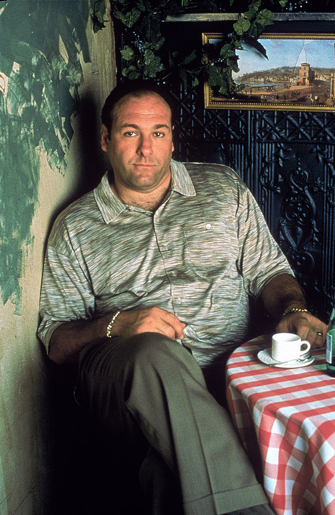 James Gandolfini poses in a cafe