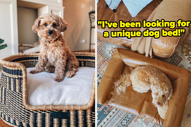 If You're Looking For A New Bed For Your Dog, Here Are 25 To Check Out