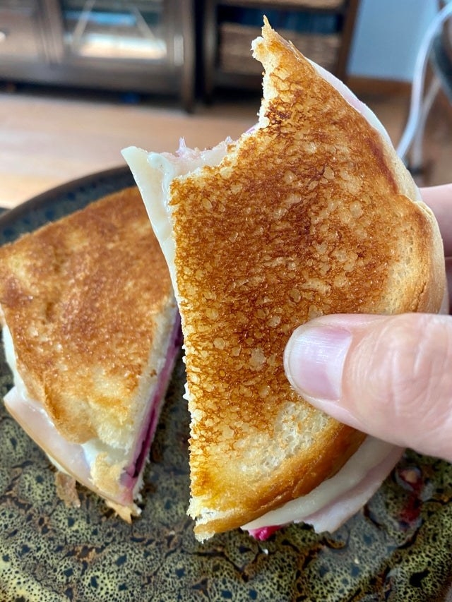 Two halves of a crispy grilled sandwich.
