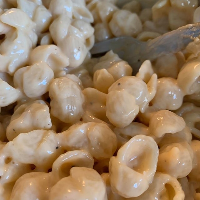 Creamy mac &#x27;n&#x27; cheese shells.