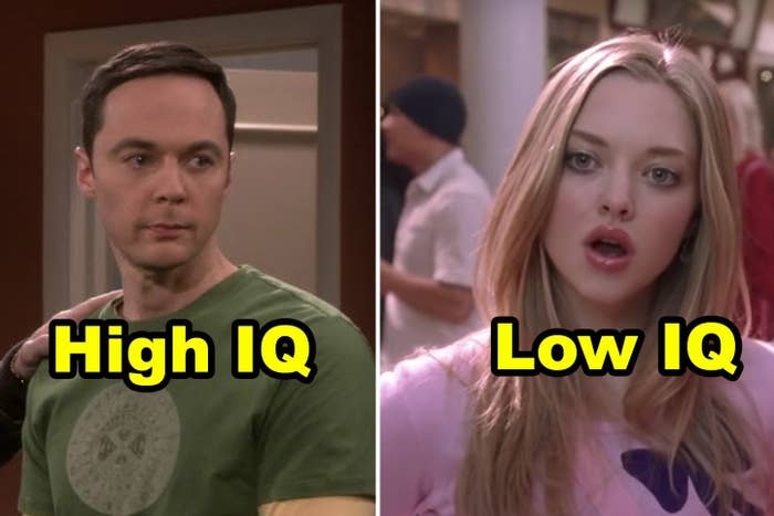 Sheldon with the words &quot;high IQ&quot; and Karen with the words &quot;low IQ&quot;