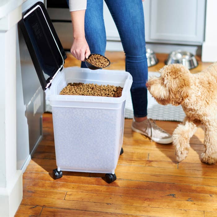 The storage container holding dog food