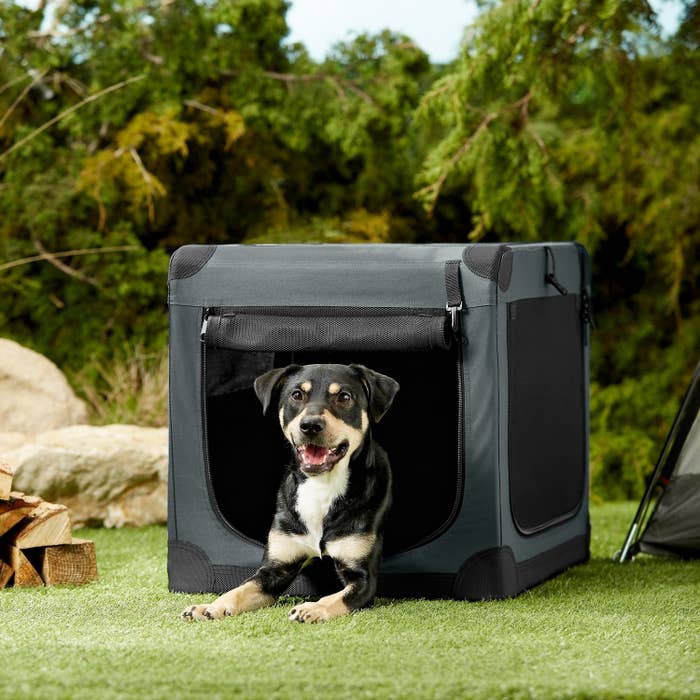 A dog sitting in the outdoor crate