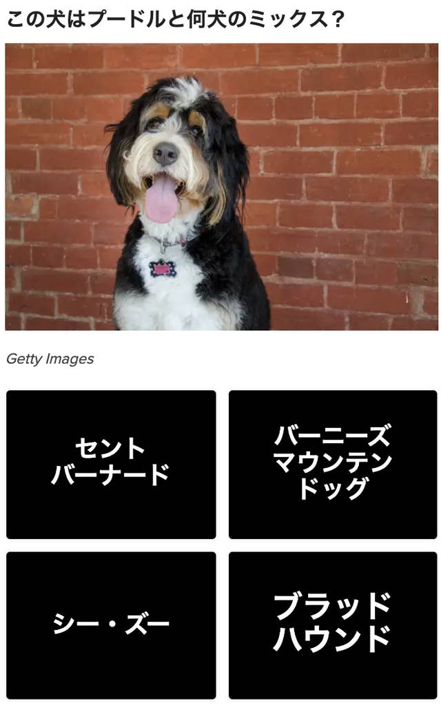 全問正解する人いるの 今年反響があった雑学クイズまとめ