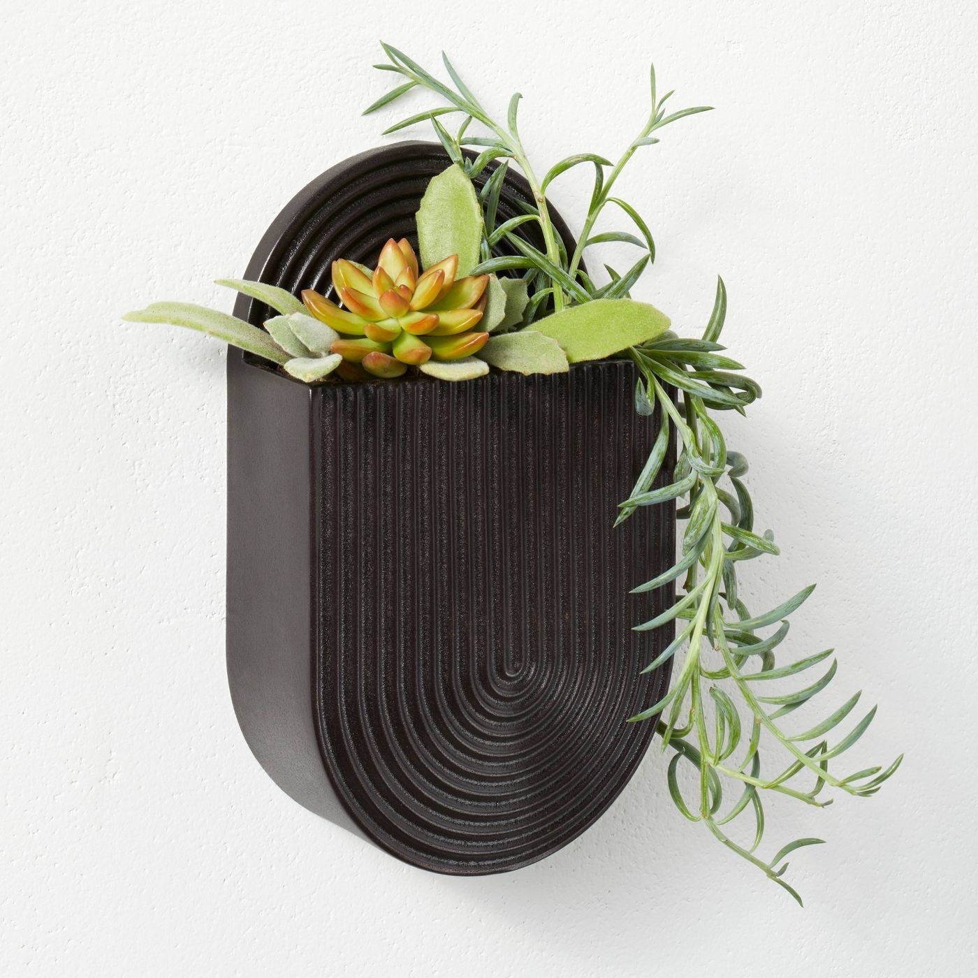 The black ceramic planter. It&#x27;s flattish and oval shaped and has a zen garden-like design on the top. There&#x27;s tiny plants in it; they&#x27;re real cute.