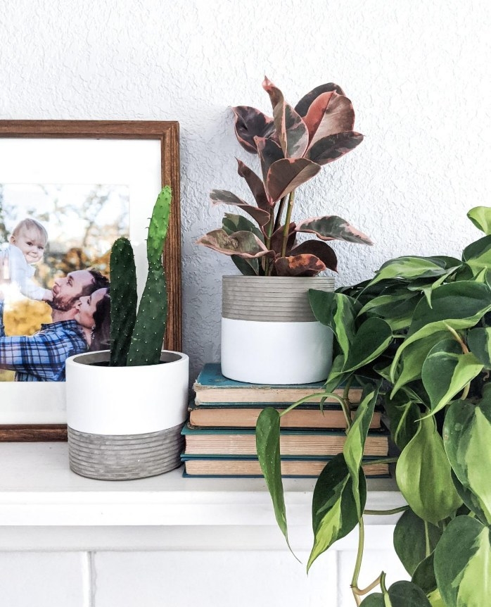 A set of white/grey cement succulent planters atop a table