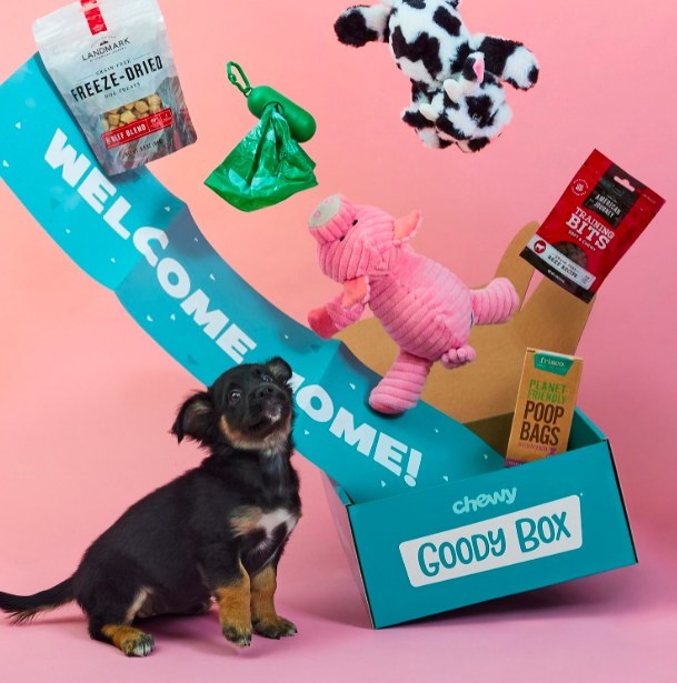 A puppy next to an unpacked puppy box. Banner reads &quot;welcome home&quot;