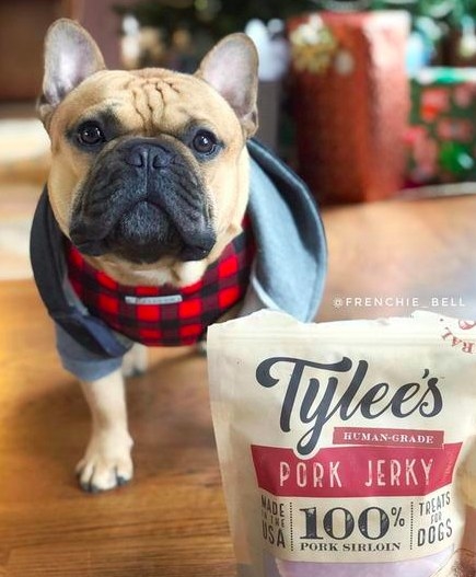 A reviewer's french bulldog posing next to the bag of jerky treat