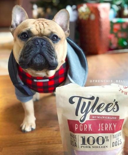 A reviewer&#x27;s french bulldog posing next to the bag of jerky treat