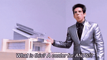 Zoolander asking &quot;what is this? a center for ants?&quot;