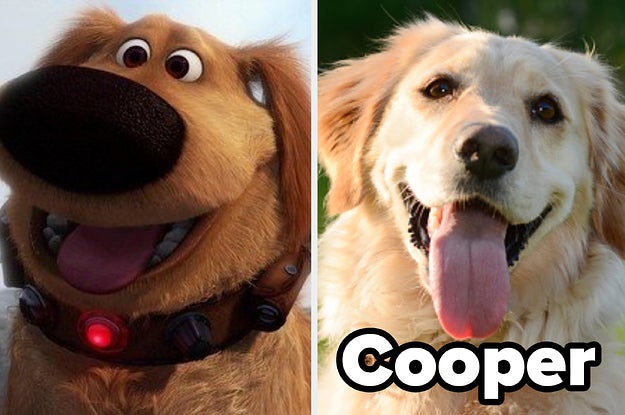 Tell Us About Your Pet And We'll Guess With 82% Accuracy What Their Name Is
