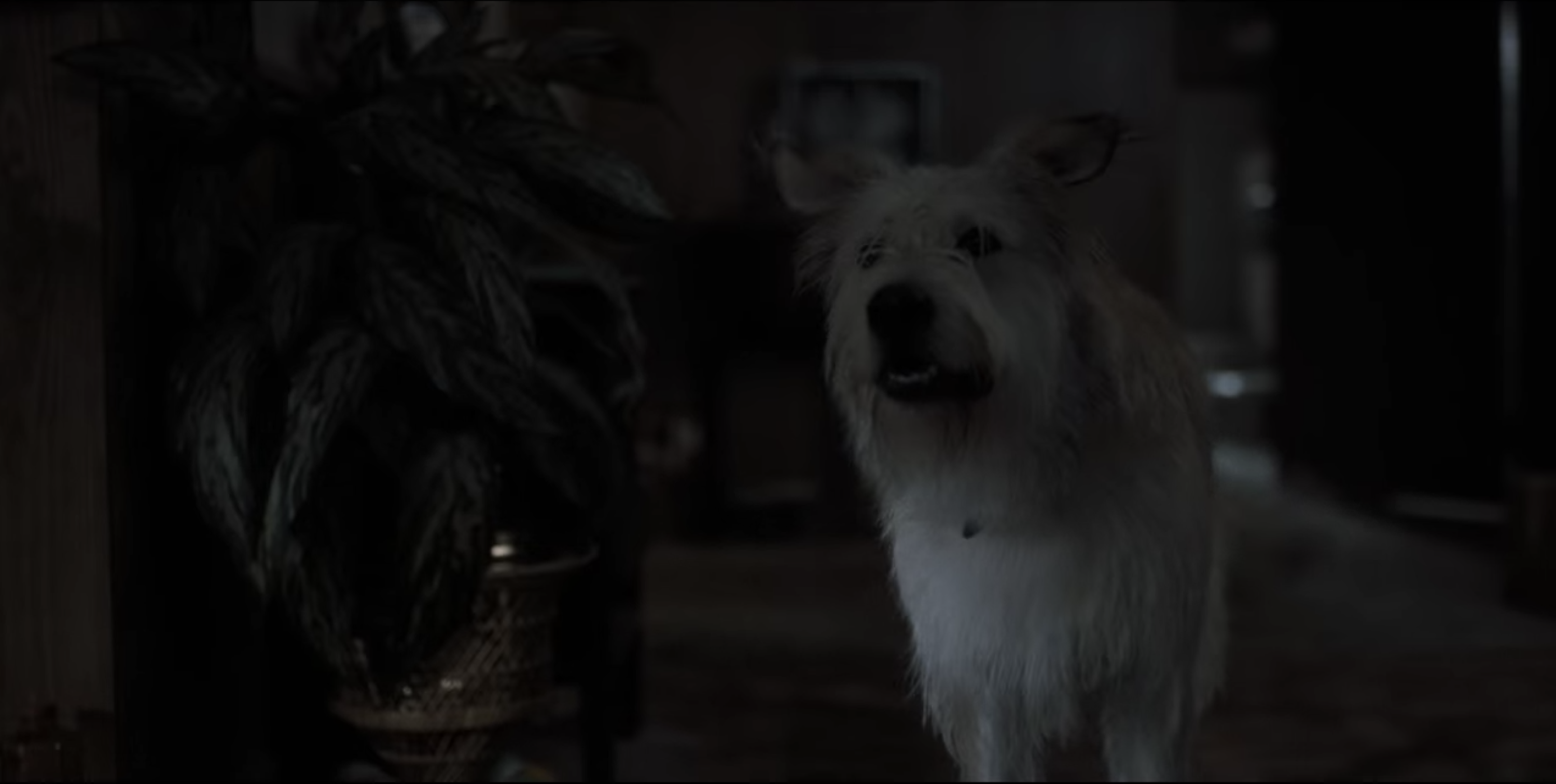 The Byers&#x27; dog is pictured in this screengrab from the pilot episode of Stranger Things