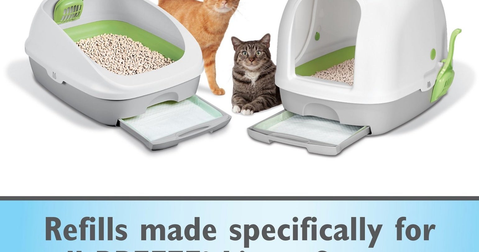 25 Products From Chewy That Cat Owners Love