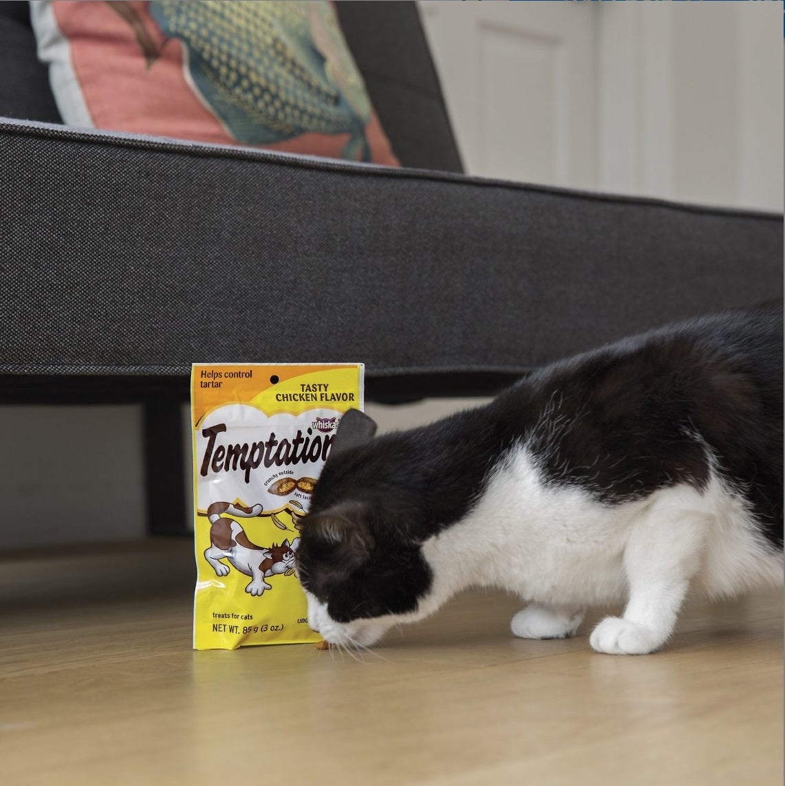 Black and white cat eating a treat from a yellow bag
