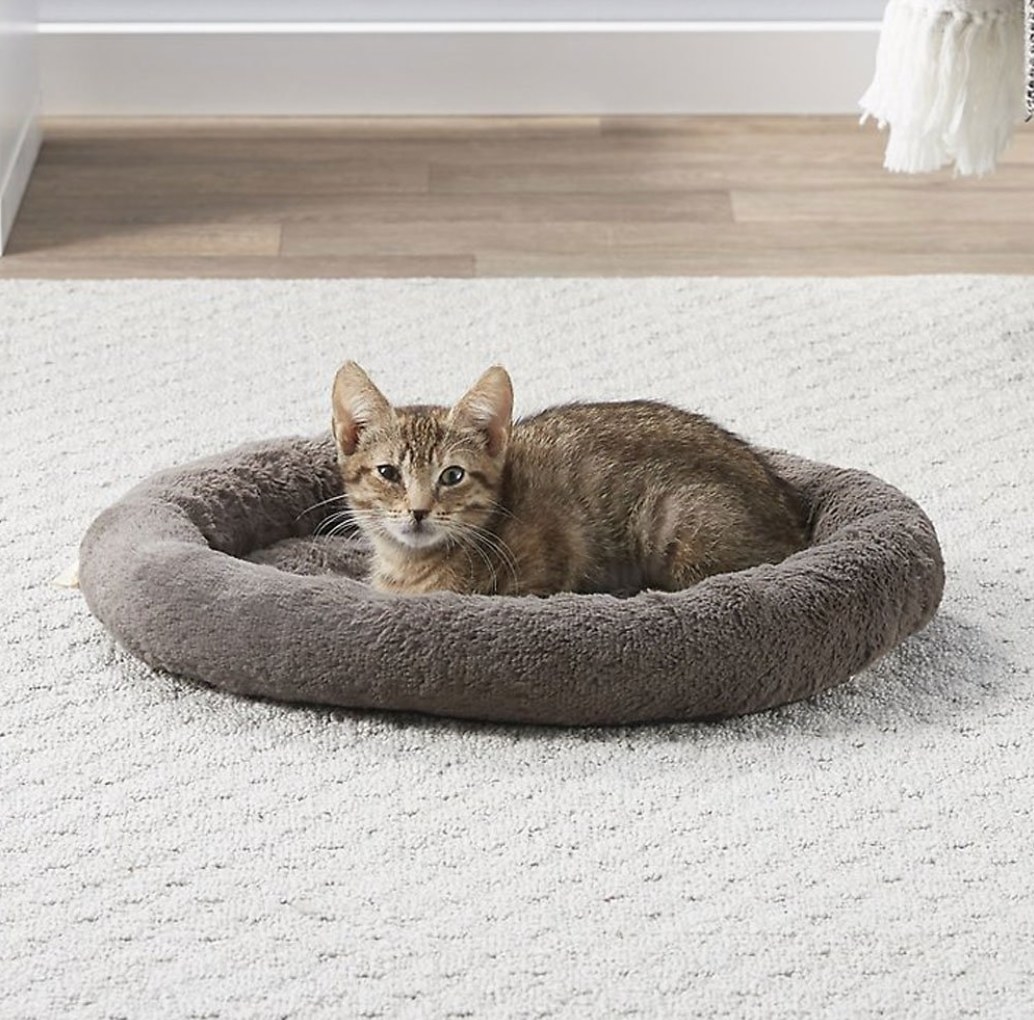 A brown and grey kitten in a grey fuzzy bed