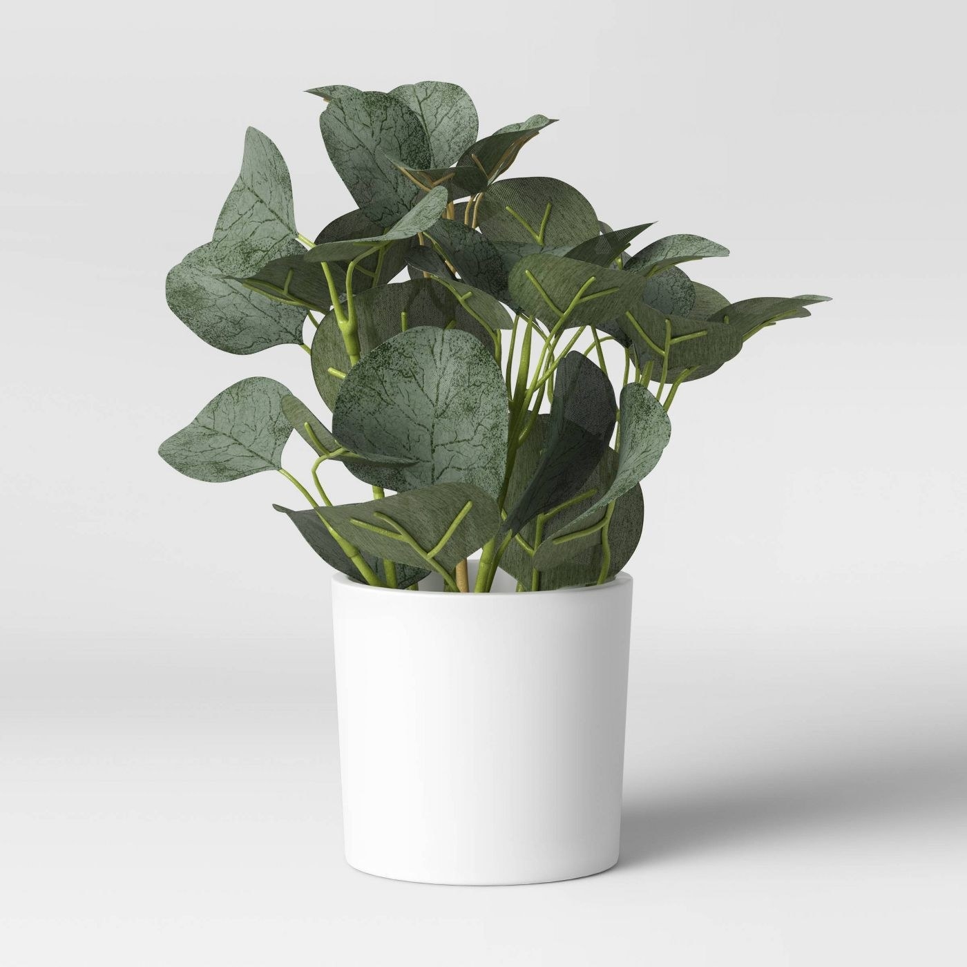 An artificial eucalyptus plant in a white pot