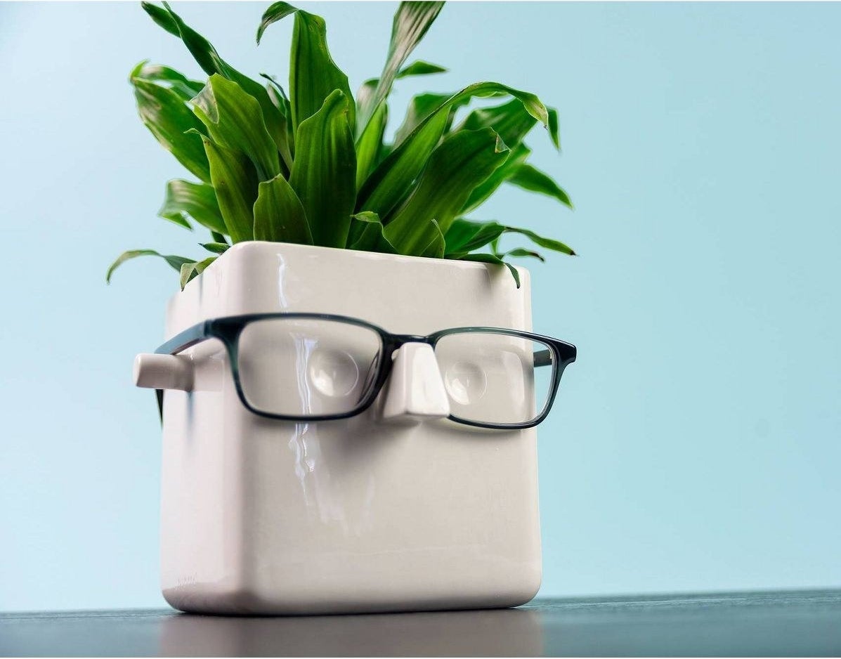 A ceramic face plant holder with a plant in it and wearing glasses