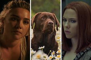 A close up of Yelena Belova bathed in candle light, a chocolate lab dog sits in a field of daises, and a close up of Natasha Romanoff as she looks off to the side