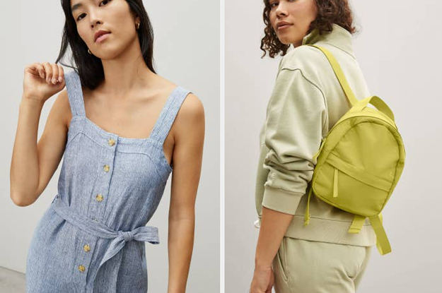 everlane mini backpack
