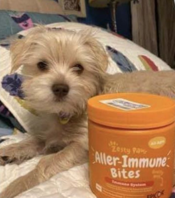 the immune bites with a reviewer&#x27;s dog