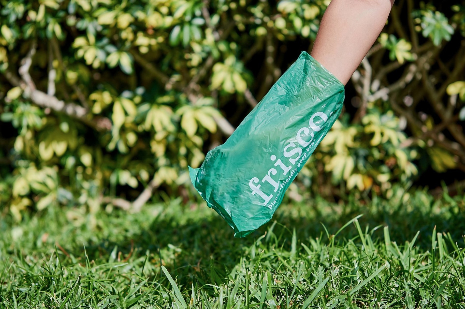 one of the dog poop bags in green