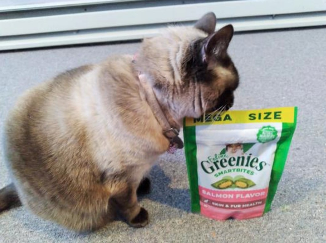 the greenies treats in the salmon flavor with a reviewer&#x27;s cat