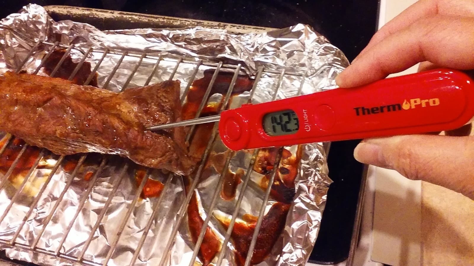 Reviewer photo holding a thermometer into a piece of meat