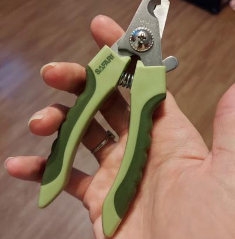 the nail clippers in green