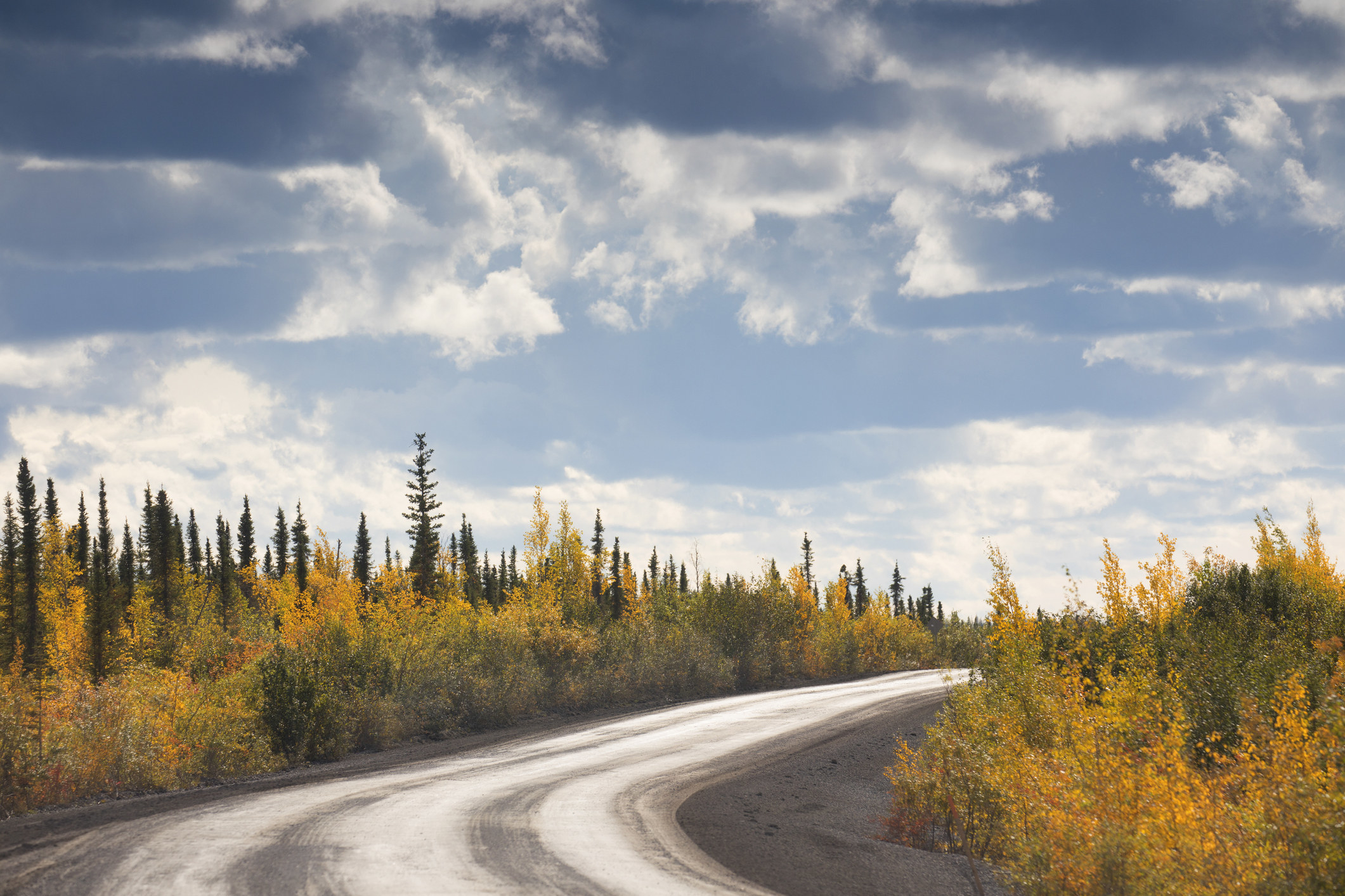 Canada Yukon Dempster road l near Northwest territory border with Yukon