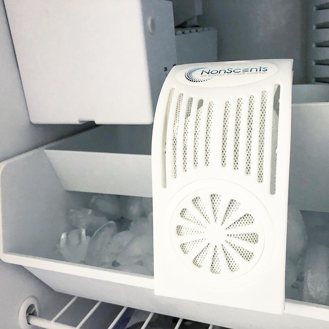 The freezer deodorant inside a freezer