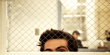 Stiles peaking over the glass