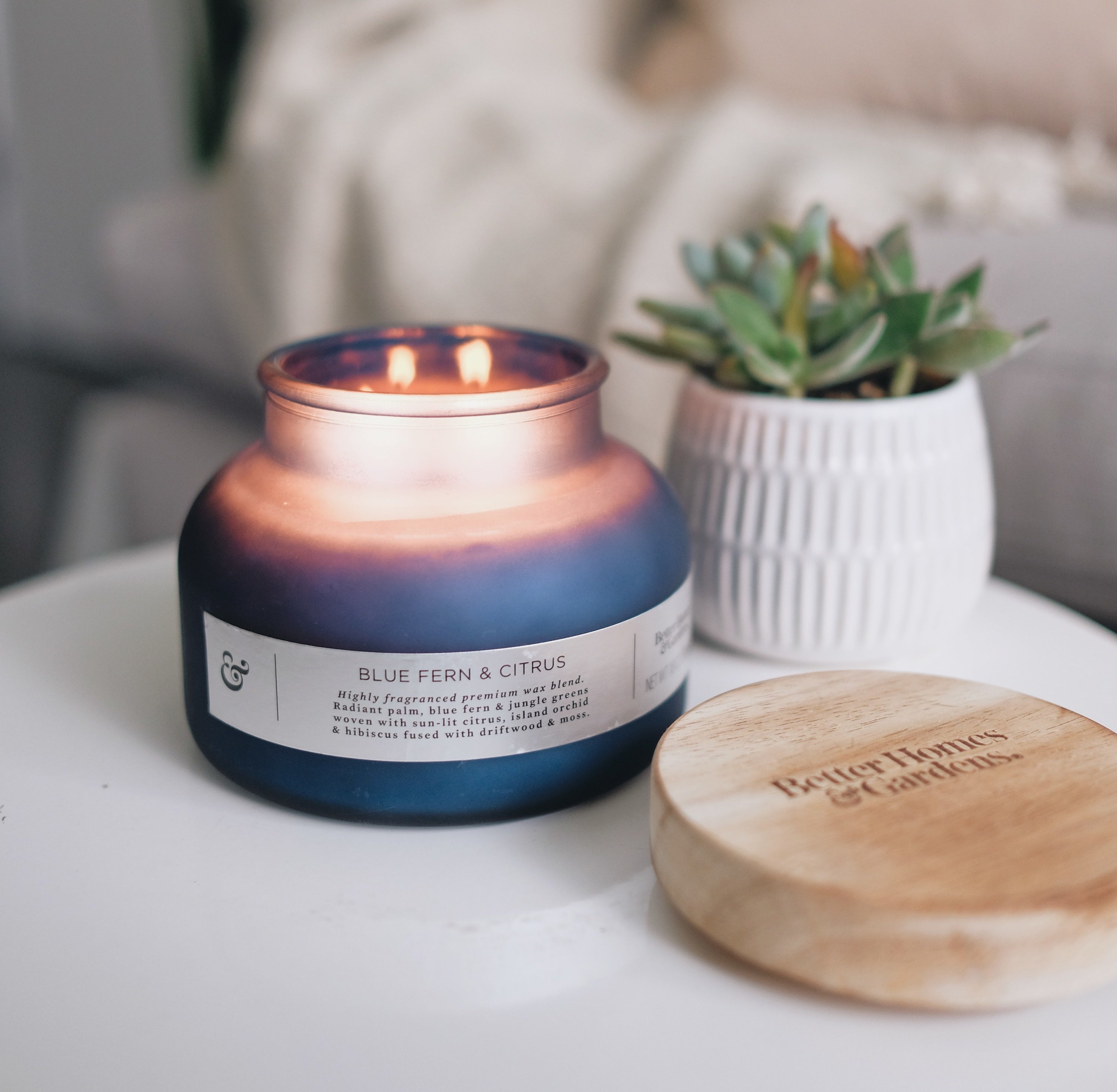 The blue fern and citrus scented two-wick candle