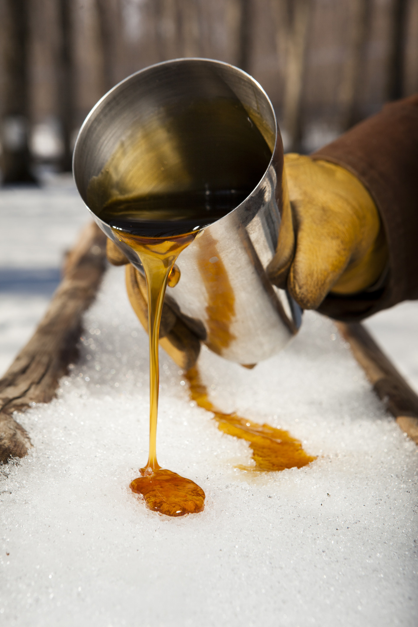 A gloved hand pouring fresh maple syrup out of a tin can onto a stretch of snow