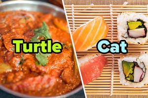 Curry labeled "turtle" and sushi labeled "cat"