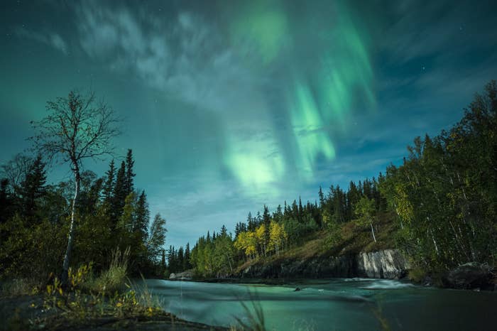 Fall aurora at Cameron River, Northwest Territories, Canada with rees turning to fall colours